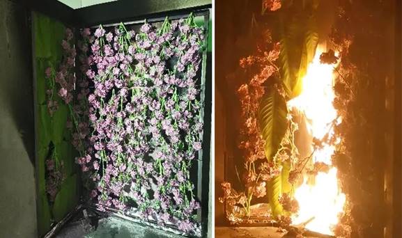 香港六宝合典资料大全