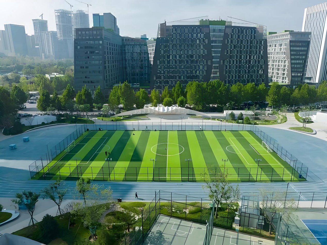 香港六宝合典资料大全